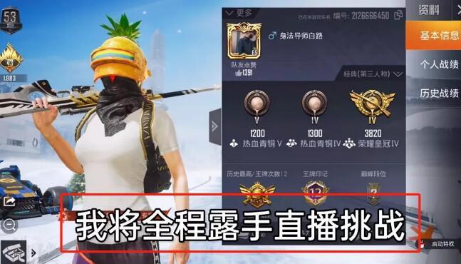 和平精英辅助软件的技术原理与实现方法
